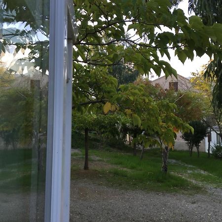 Camping Les Orangers San-Martino-di-Lota Kamer foto