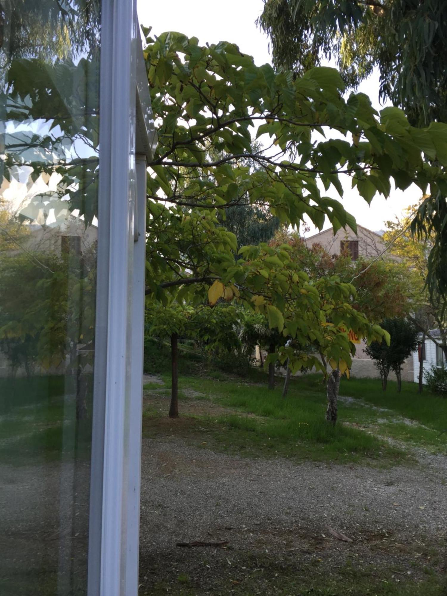 Camping Les Orangers San-Martino-di-Lota Kamer foto