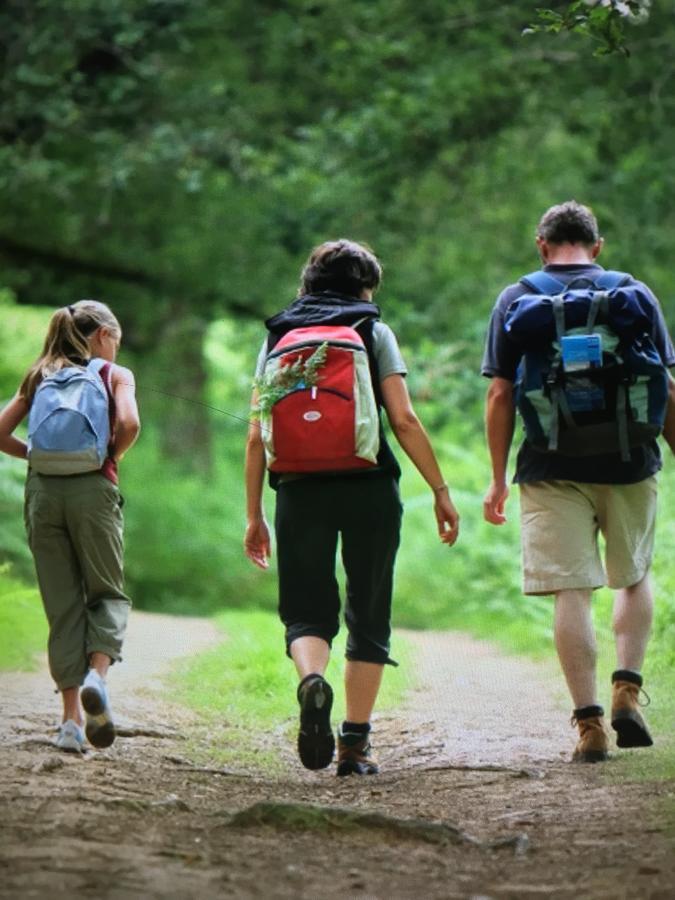Camping Les Orangers San-Martino-di-Lota Buitenkant foto